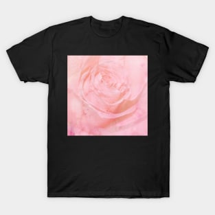 Beautiful Vintage Pink Rose Design, Floral Shabby Chic Home Decor Items, Apparel & Gifts T-Shirt